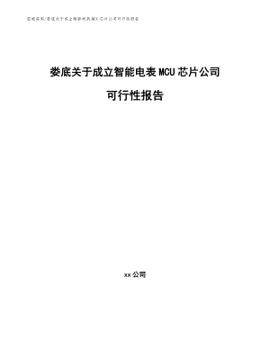 娄底关于成立智能电表MCU芯片公司可行性报告参考模板