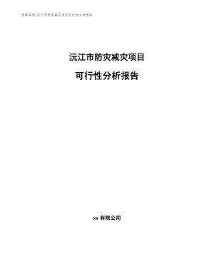 沅江市防灾减灾项目可行性分析报告_模板范本