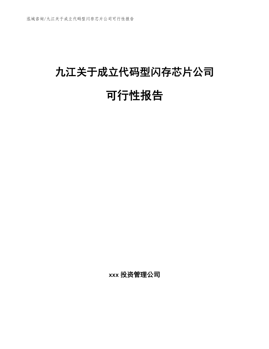 九江关于成立代码型闪存芯片公司可行性报告_第1页