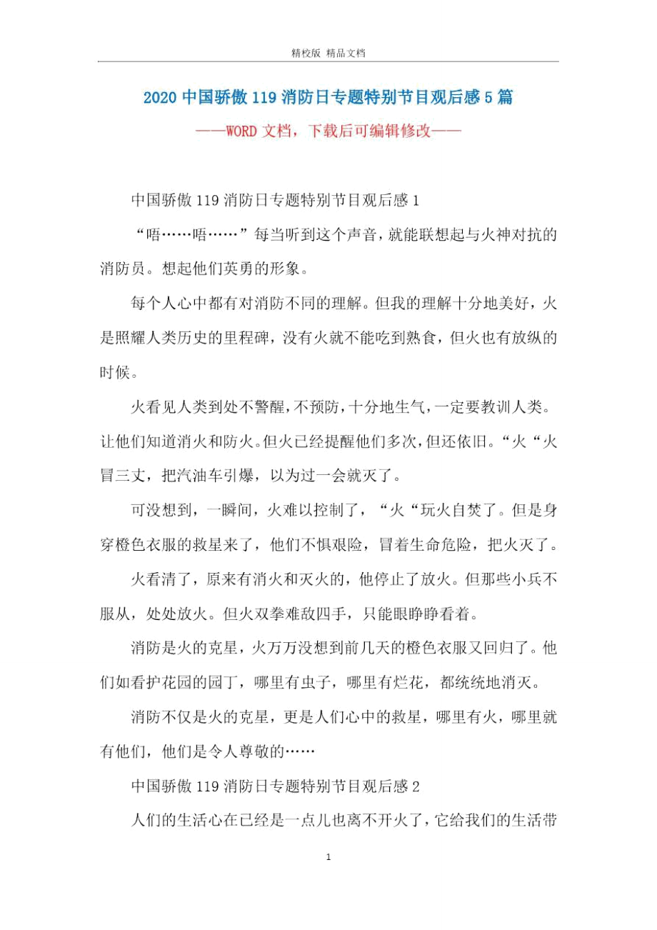 中国骄傲119消防日专题特别节目观后感5篇_第1页