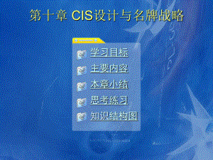CIS设计与名牌战略PPT参考课件