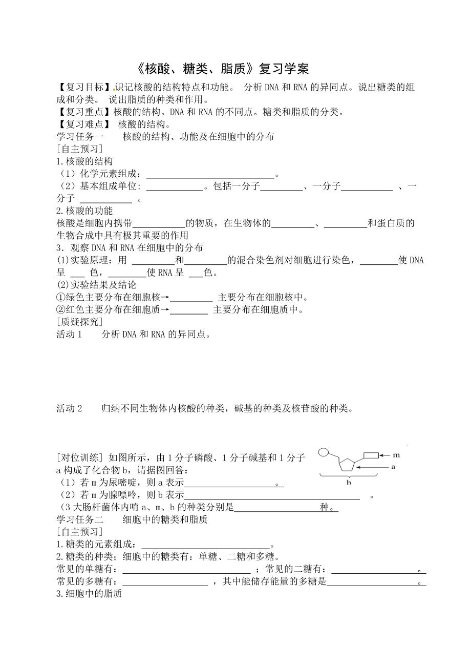 《核酸、糖類和脂質》復習學案_第1頁