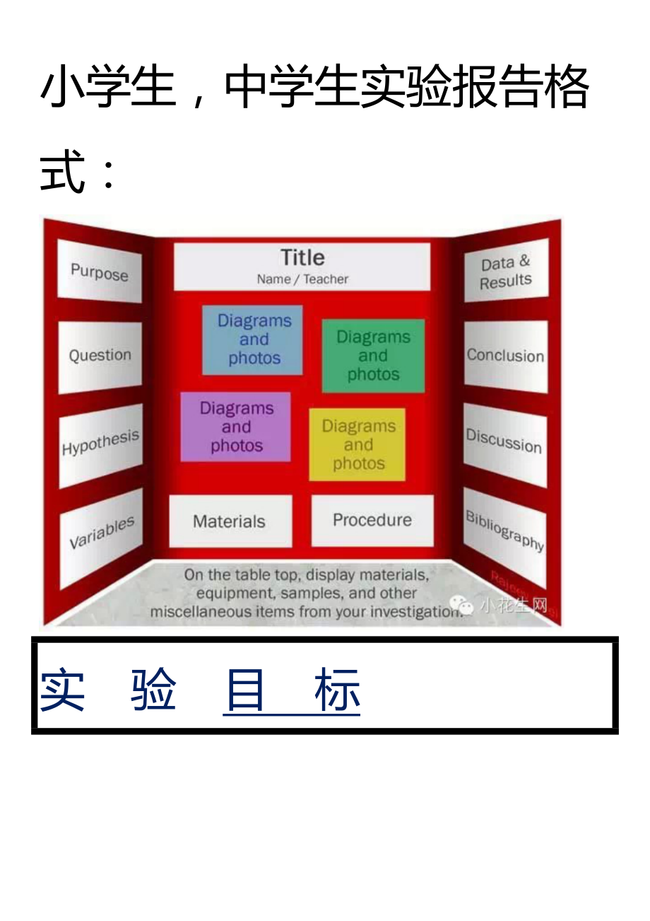 作文 实验报告格式,打印版_第1页