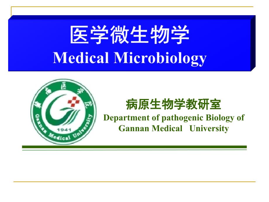 疱疹病毒课件_第1页