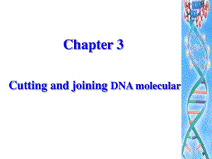 南开大学基因操作原理第三章