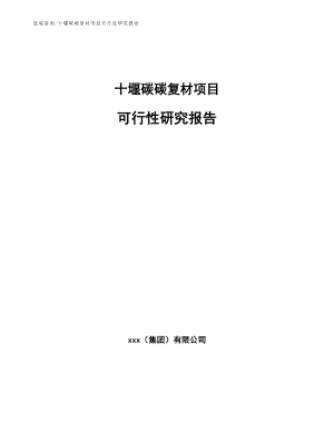 十堰碳碳复材项目可行性研究报告【范文参考】