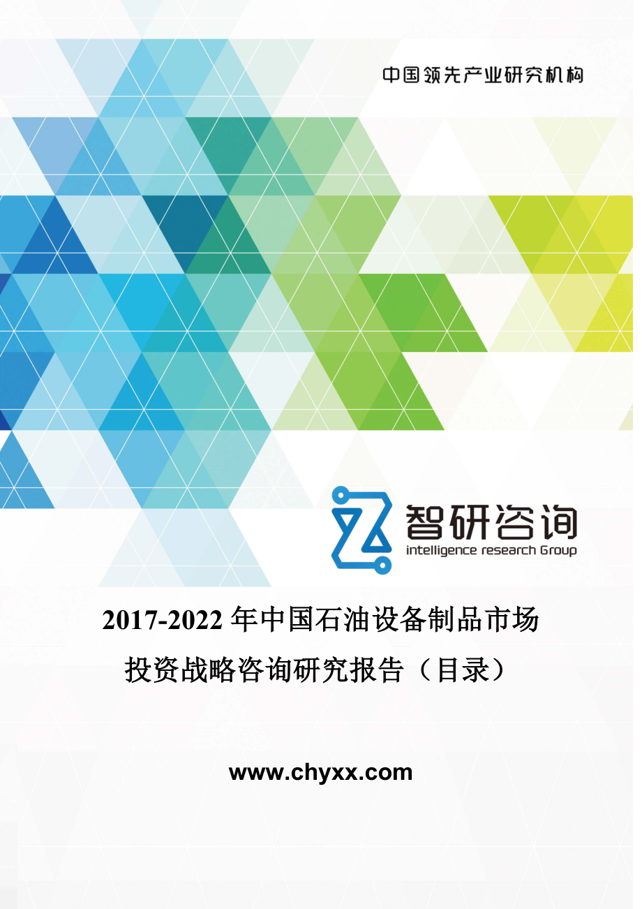 2017-2022年中国石油设备制品市场投资战略咨询研究报告(目录)_第1页