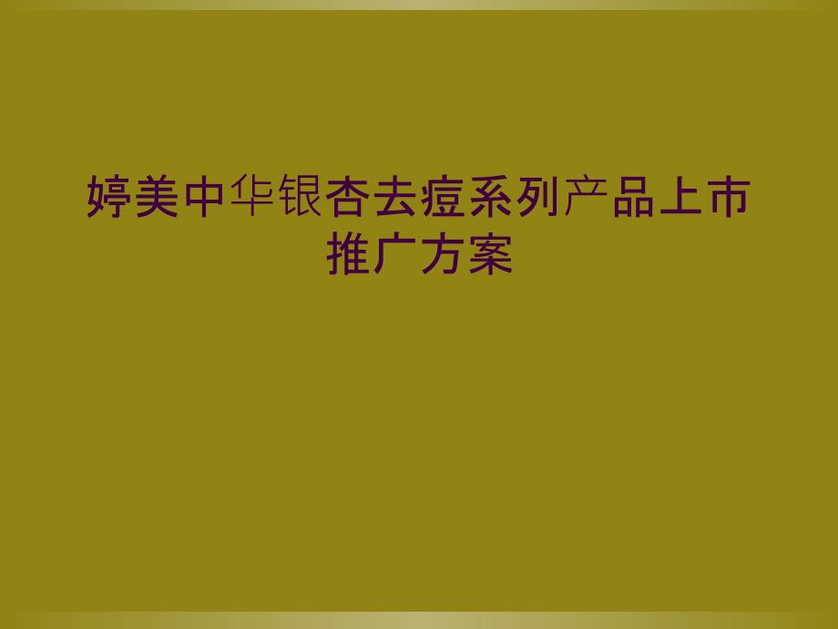 婷美中华银杏去痘系列产品上市推广方案_第1页