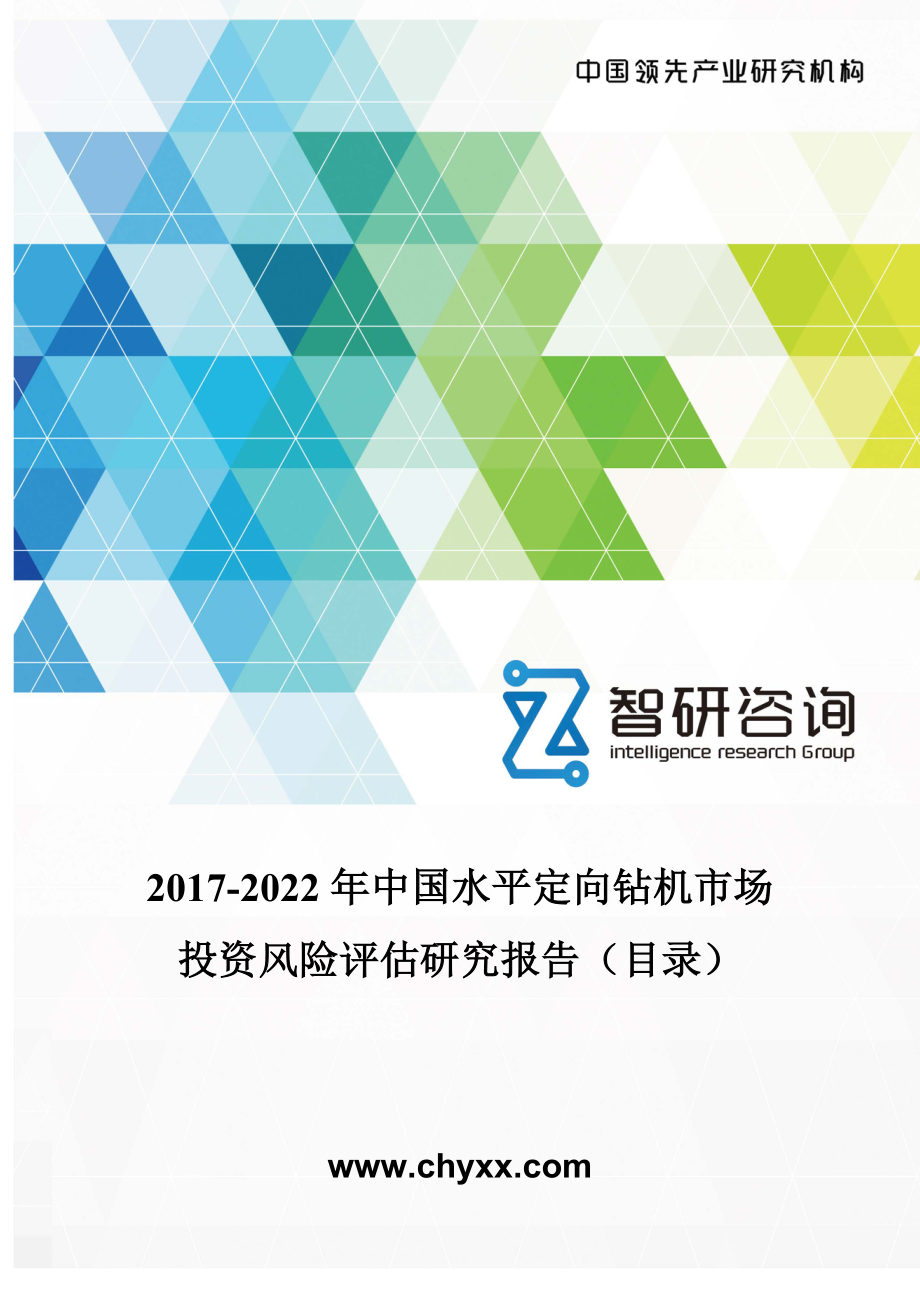 2017-2022年中国水平定向钻机市场投资风险评估研究报告(目录)_第1页