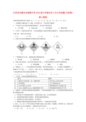江苏省无锡市东湖塘中学九年级化学3月月考试题无答案新人教版
