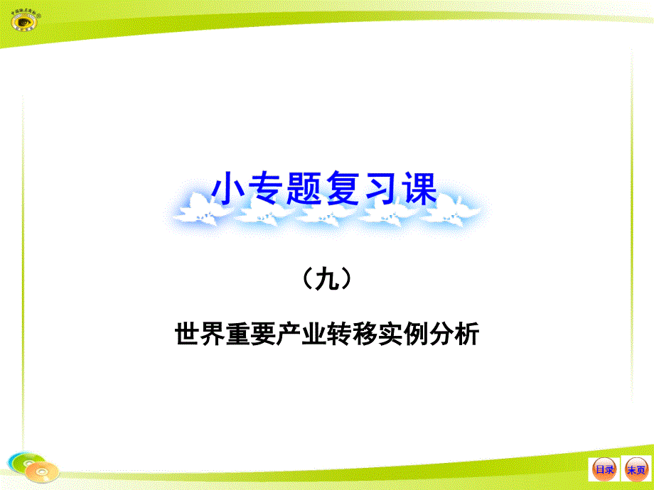 小专题复习课(九)_第1页