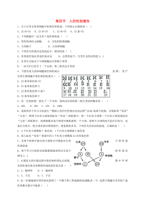 内蒙古杭锦旗八年级生物下册7.2.4人的性别遗传练习题无答案新版新人教版