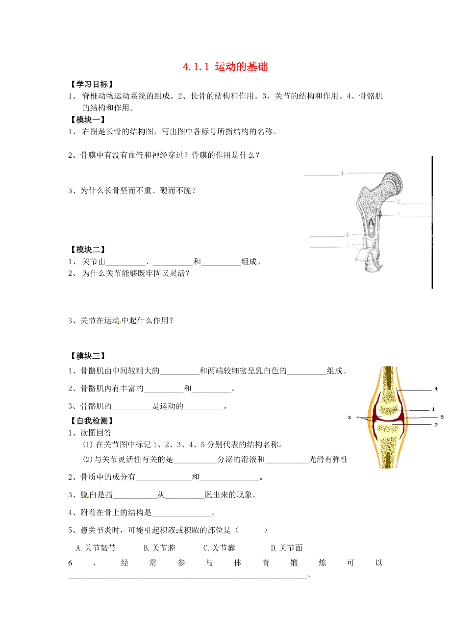 河北省沧州市颐和中学八年级生物上册4.1.1运动的基础导学案无答案冀教版通用_第1页