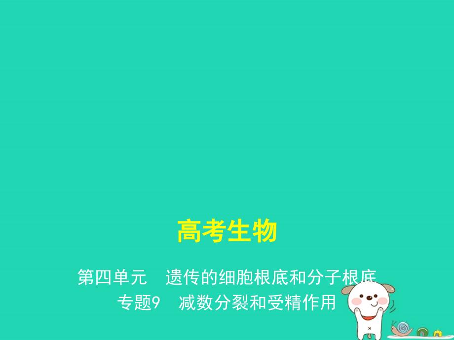 新课标高考生物一轮复习专题9减数分裂和受精作用课件_第1页