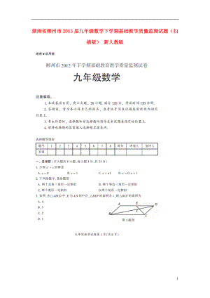 湖南省郴州市九年级数学下学期基础教学质量监测试题扫描版新人教版