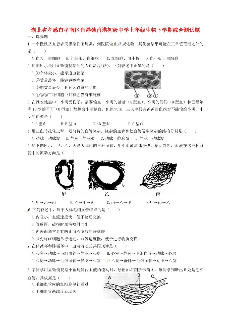 湖北省孝感市孝南区肖港镇肖港初级中学七年级生物下学期综合测试题3无答案北师大版通用_第1页