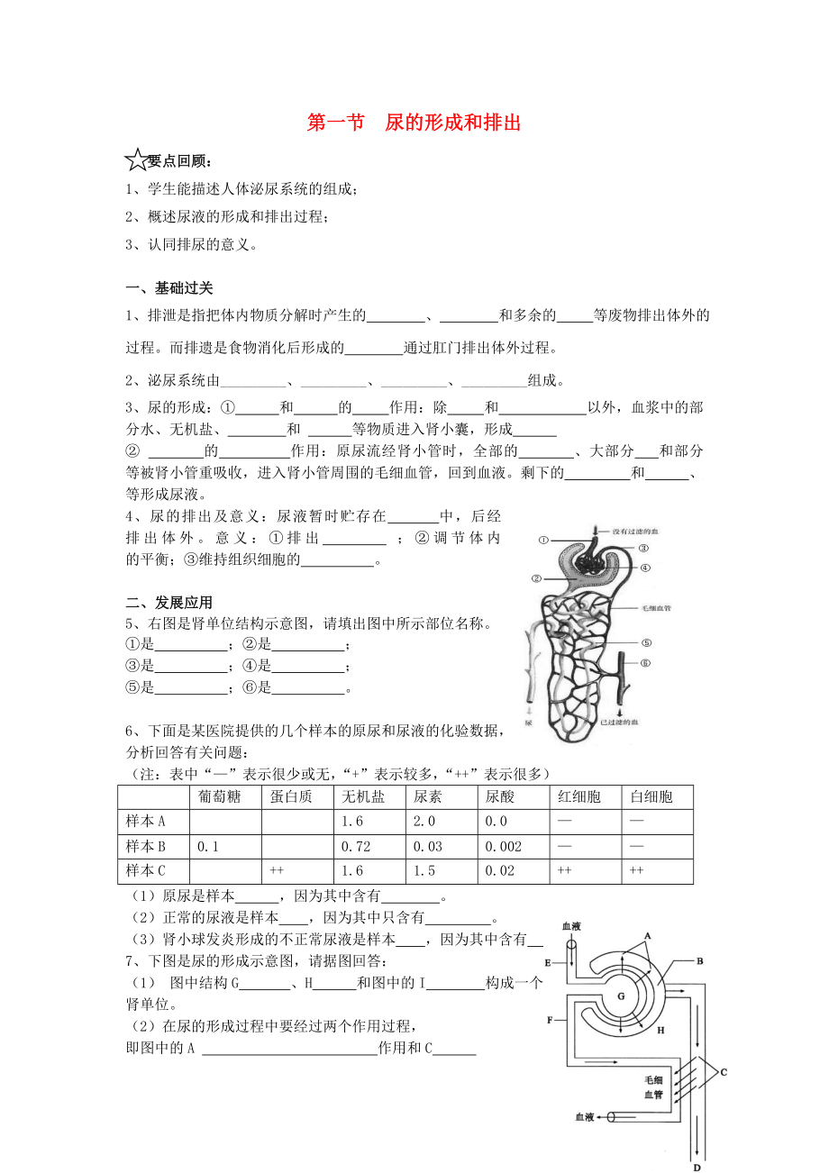 廣東省中山市紀(jì)中三鑫雙語學(xué)校七年級生物下冊第五章第一節(jié)尿的形成和排出梯度練習(xí)無答案新人教版_第1頁