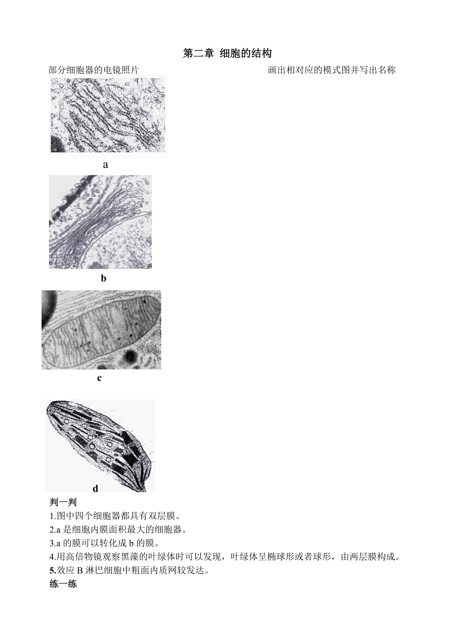 细胞中部分细胞器的电镜照片_第1页