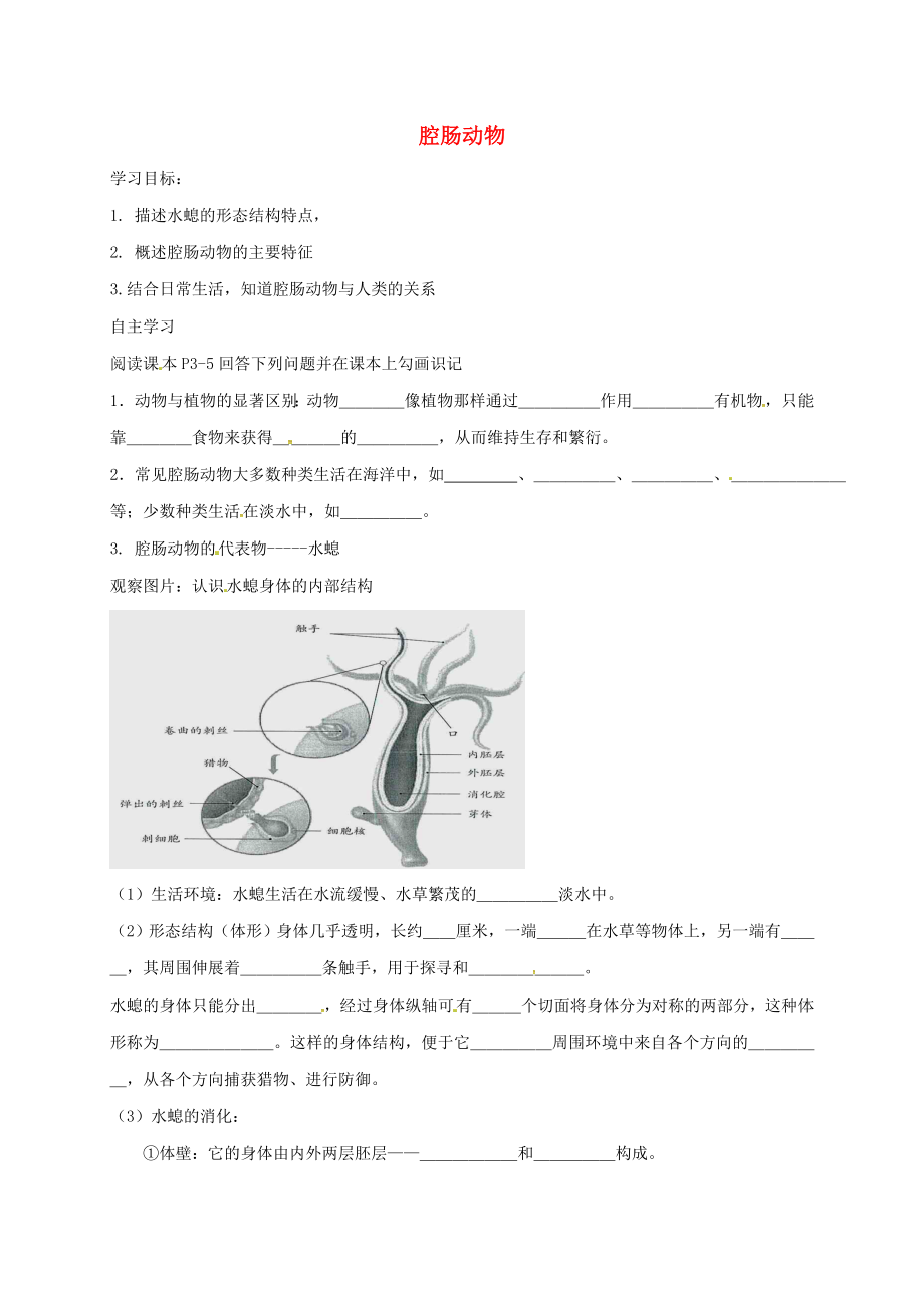 山西省洪洞县八年级生物上册5.1.1腔肠动物学案无答案新版新人教版_第1页