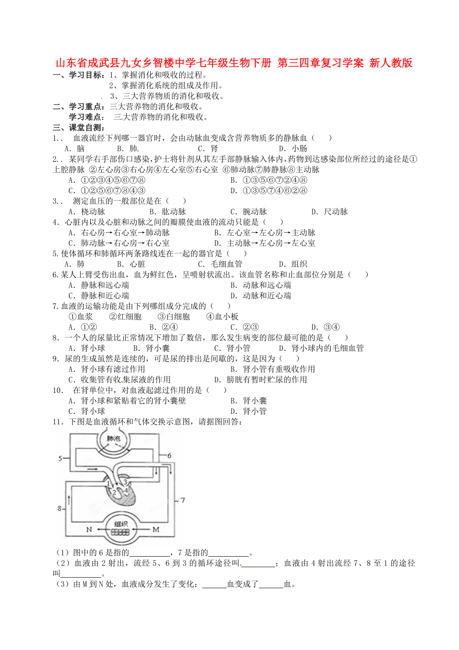 山東省成武縣九女鄉(xiāng)智樓中學(xué)七年級生物下冊第三四章復(fù)習(xí)學(xué)案無答案新人教版_第1頁