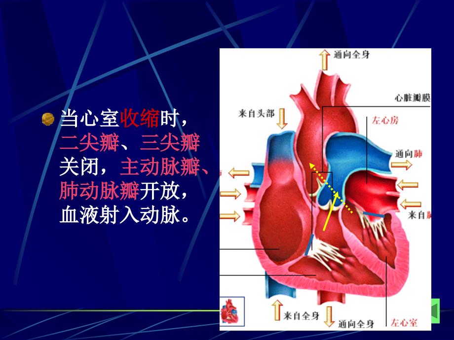 第二节 心力衰竭病人护理_第1页