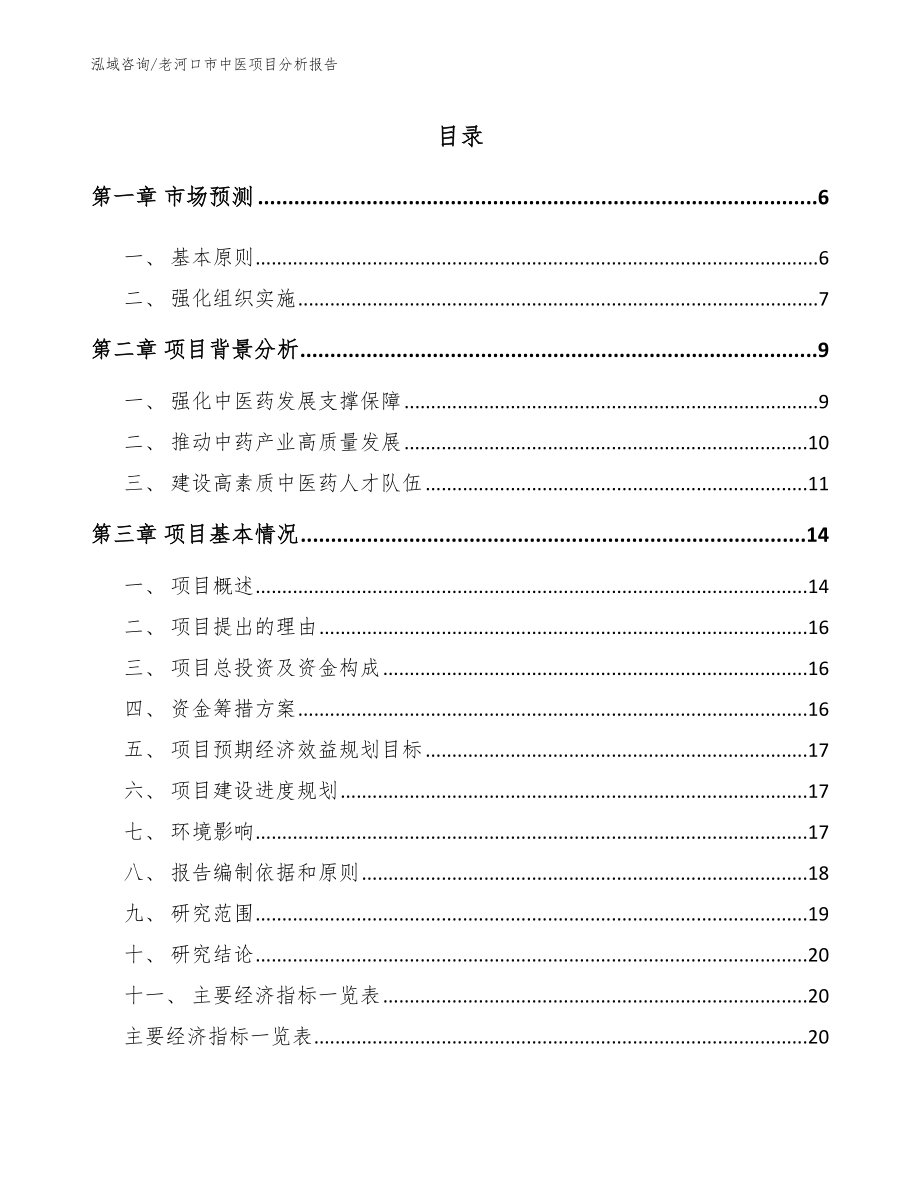 老河口市中医项目分析报告_第1页