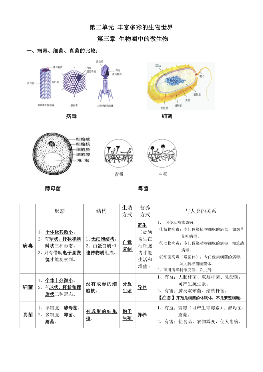 濟(jì)南版七年級(jí)上冊(cè)生物第二單元 豐富多彩的生物世界第三章生物圈中的微生物第四章生物的分類復(fù)習(xí)知識(shí)點(diǎn)_第1頁(yè)