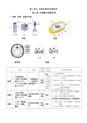 濟(jì)南版七年級(jí)上冊(cè)生物第二單元 豐富多彩的生物世界第三章生物圈中的微生物第四章生物的分類復(fù)習(xí)知識(shí)點(diǎn)