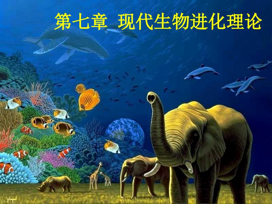 现代生物进化理论高三一轮复习_第1页