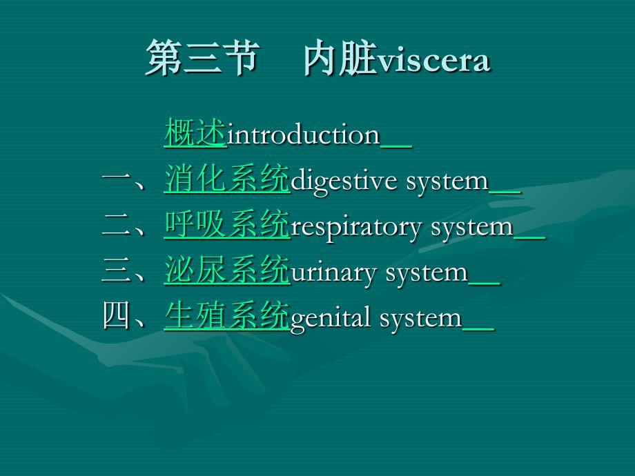 系统解剖学内脏系统_第1页