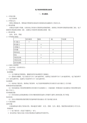 電子商務(wù)師 國家職業(yè)標(biāo)準(zhǔn)