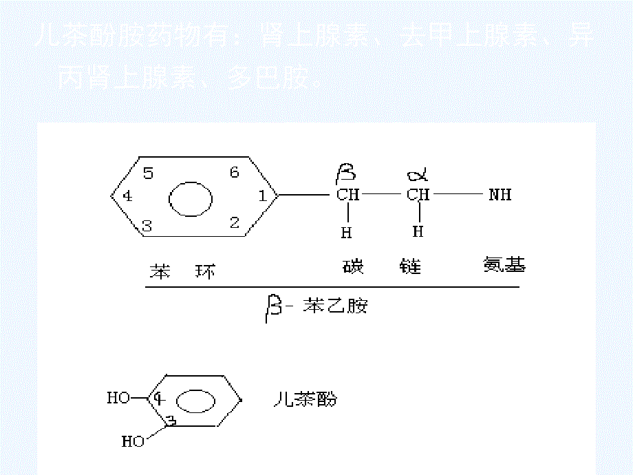 第二单元第四节肾上腺素受体激动药_第1页