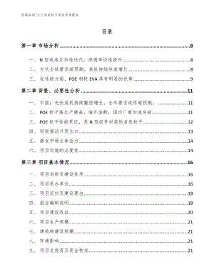 九江封装粒子项目申请报告【模板范文】