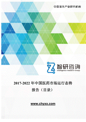 2017-2022年中国医药市场运行态势报告(目录)