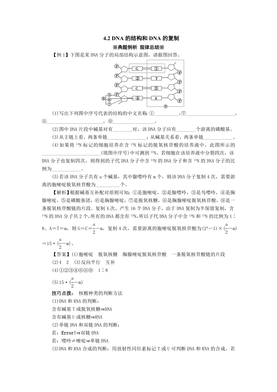 4.2 DNA的結(jié)構(gòu)和DNA的復(fù)制 同步練習(xí)(蘇教版必修II)_第1頁