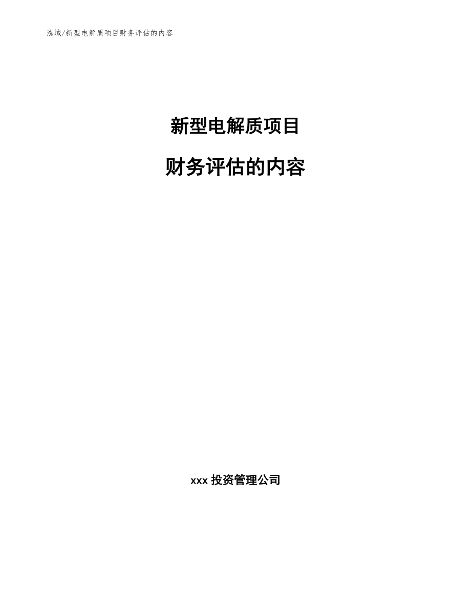 新型电解质项目财务评估的内容（范文）_第1页