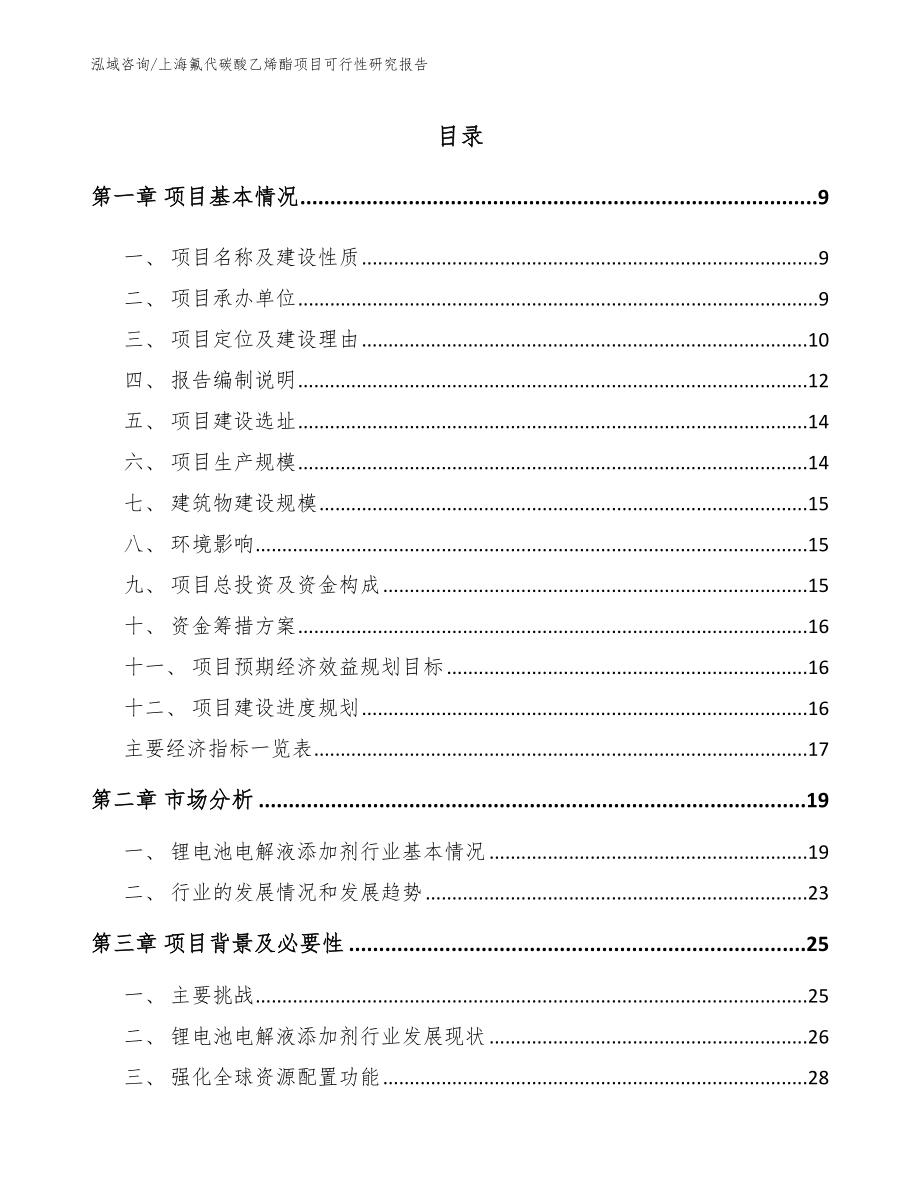 上海氟代碳酸乙烯酯项目可行性研究报告（模板）_第1页