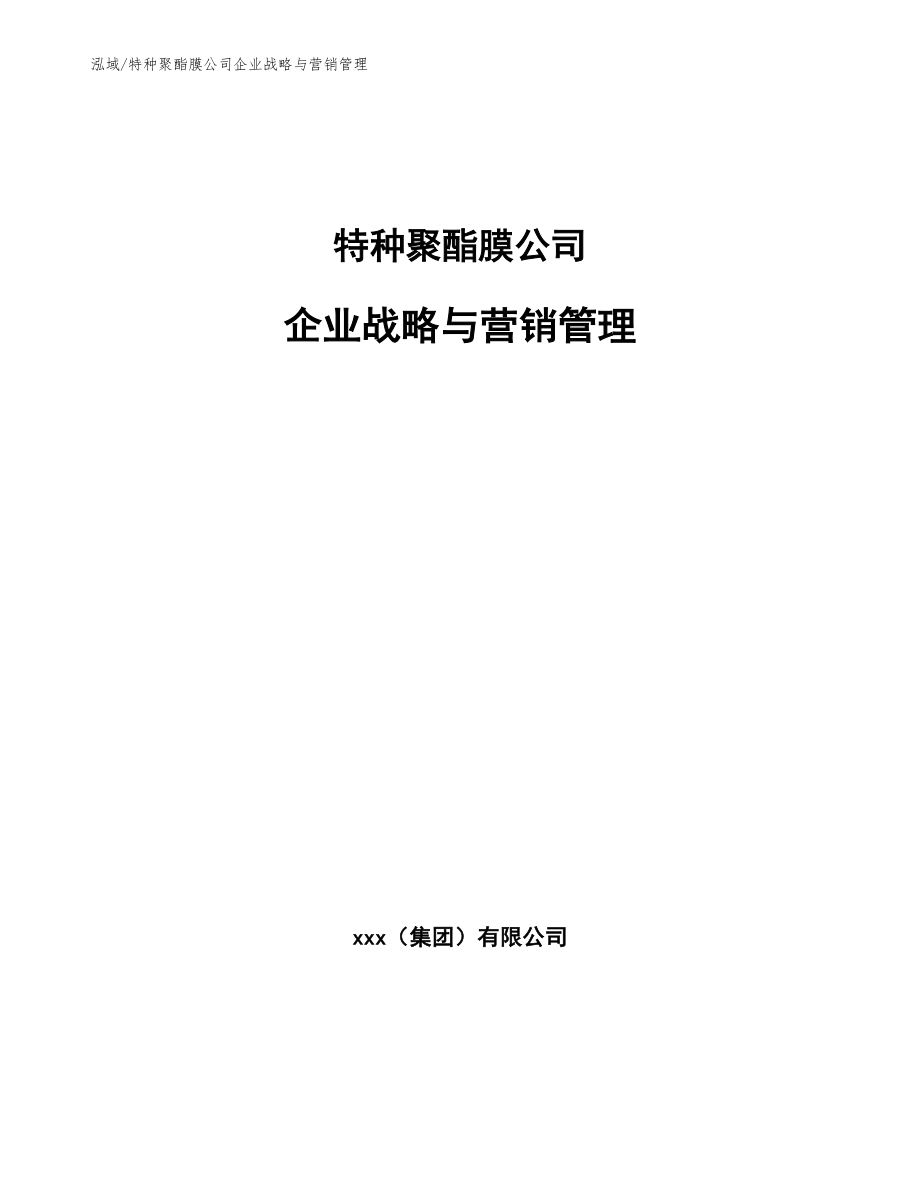 特种聚酯膜公司企业战略与营销管理_第1页