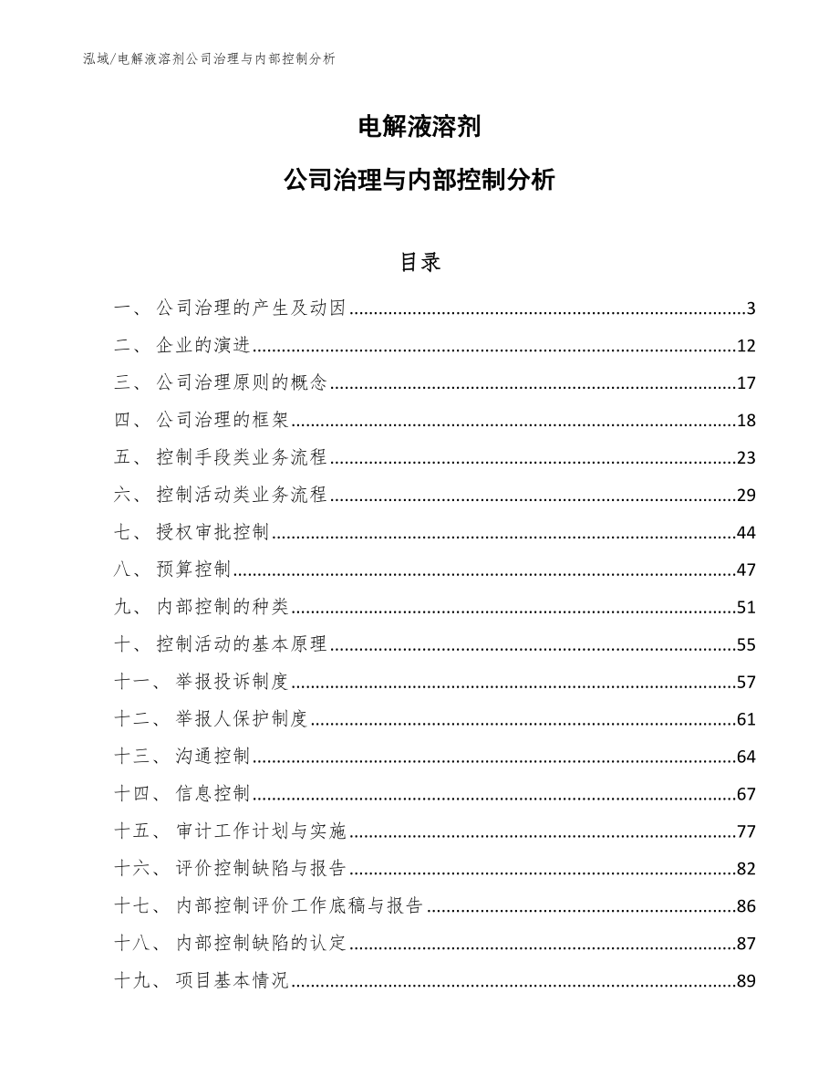 电解液溶剂公司治理与内部控制分析_第1页