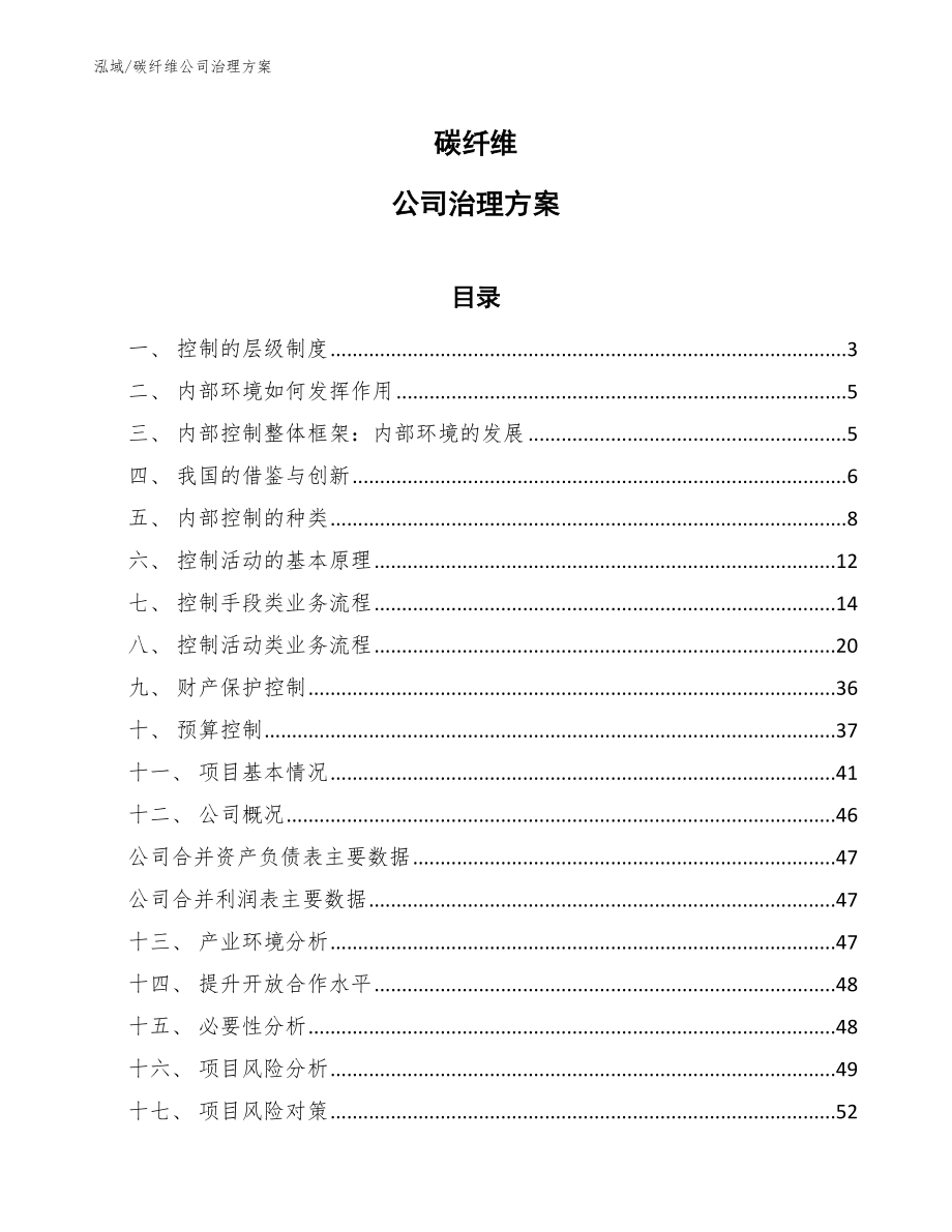 碳纤维公司治理方案（范文）_第1页