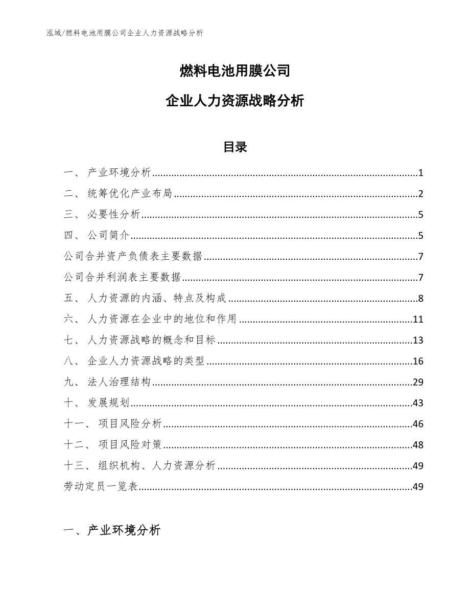 燃料电池用膜公司企业人力资源战略分析_范文_第1页