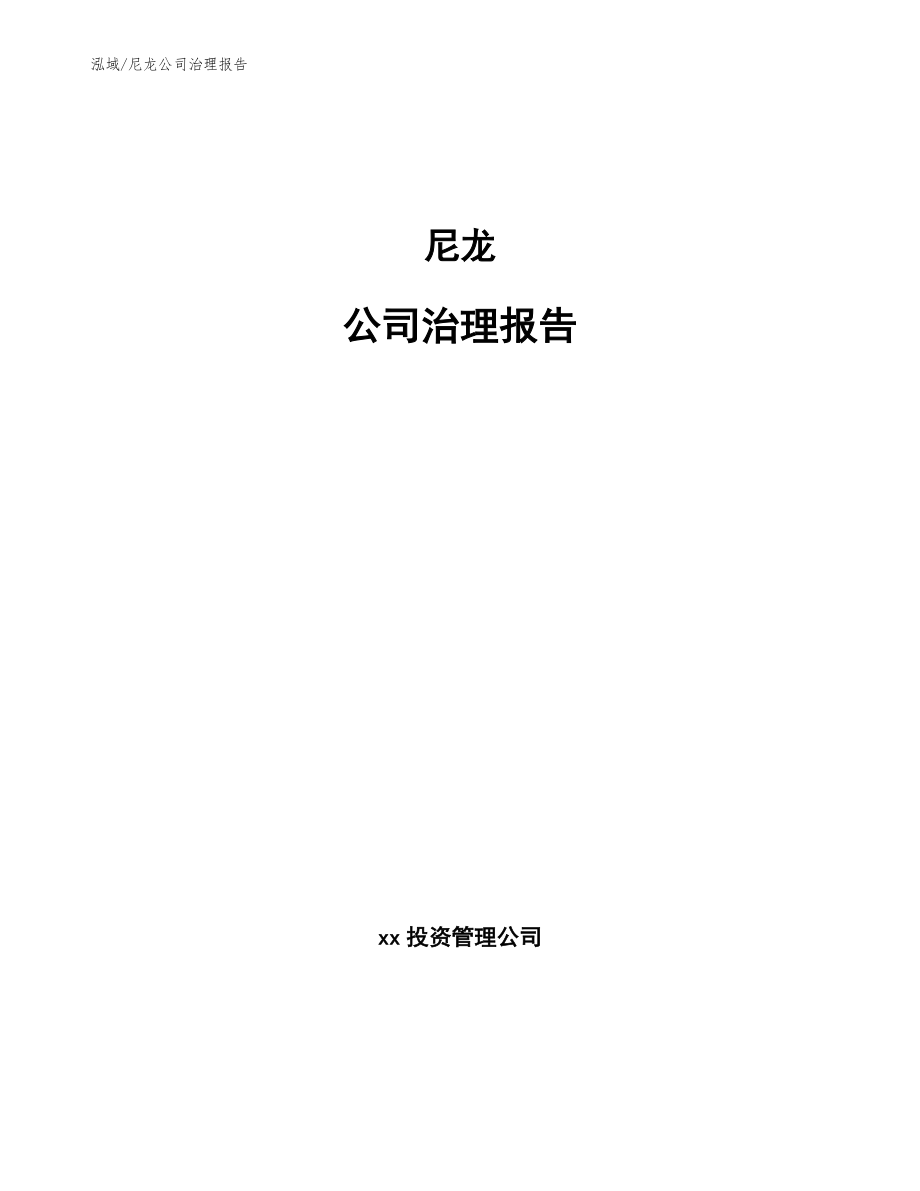 尼龙公司治理报告【参考】_第1页
