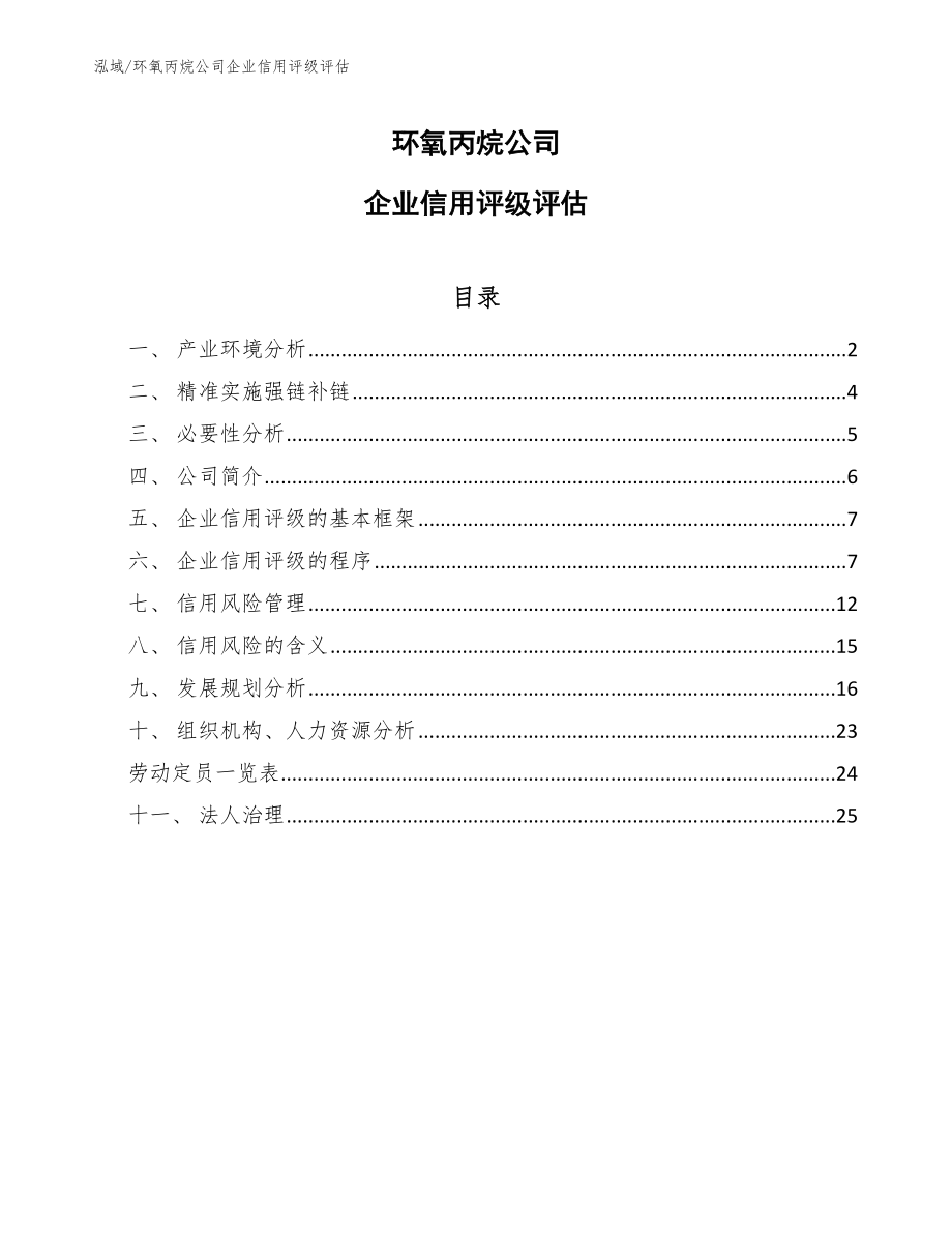 环氧丙烷公司企业信用评级评估_参考_第1页