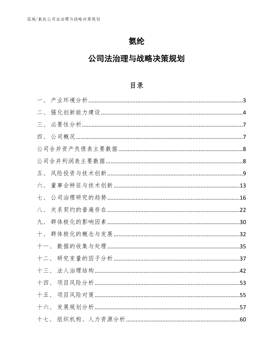 氨纶公司法治理与战略决策规划_第1页