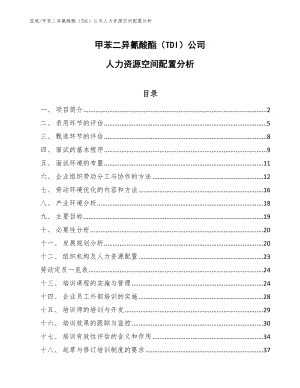 甲苯二异氰酸酯（TDI）公司人力资源空间配置分析（范文）