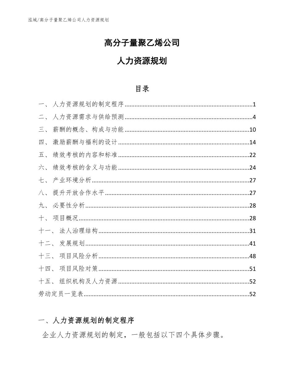 高分子量聚乙烯公司人力资源规划【参考】_第1页