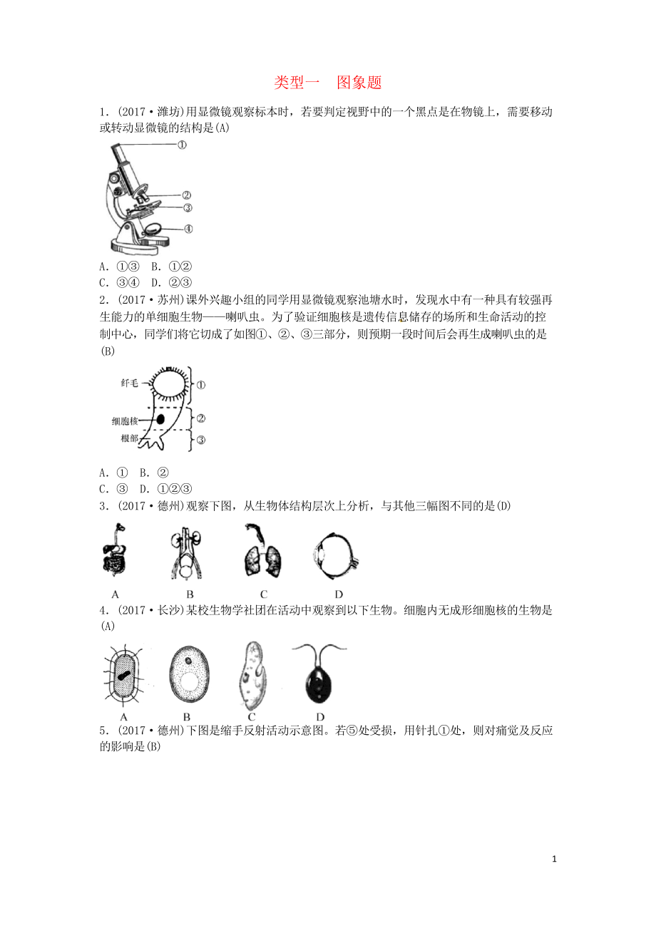 2019屆中考生物 題型復(fù)習(xí) 題型一 圖表題(考試專用)_第1頁(yè)