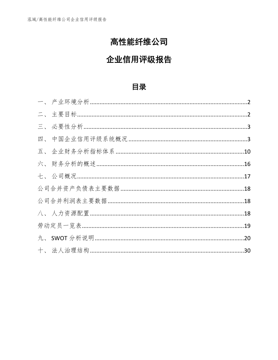 高性能纤维公司企业信用评级报告【范文】_第1页