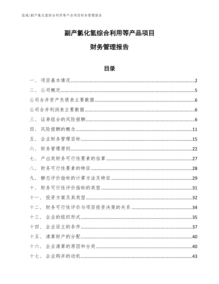 副产氯化氢综合利用等产品项目财务管理报告_第1页