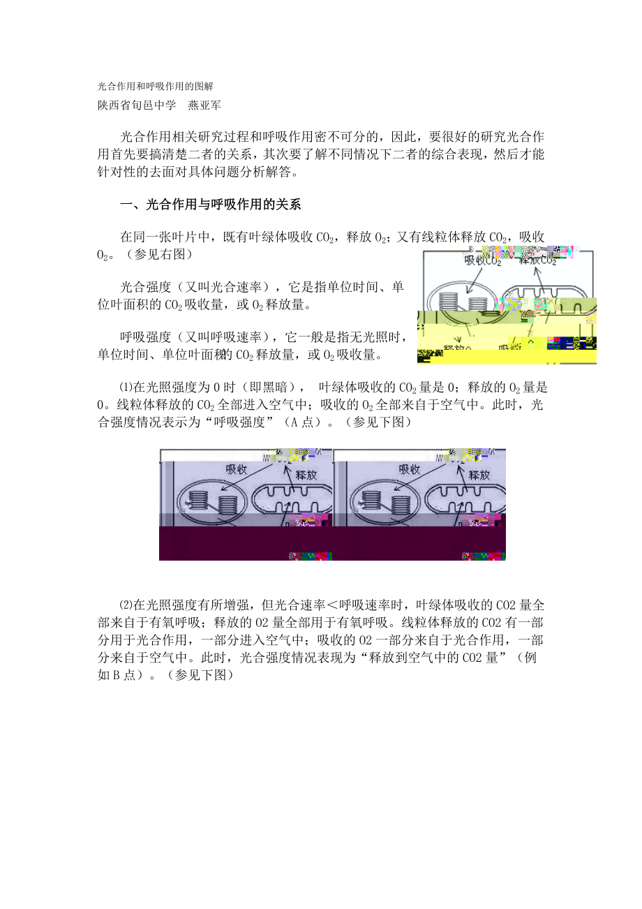 光合作用和呼吸作用的图解_第1页